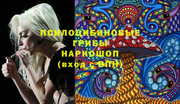 ALPHA PVP Белокуриха