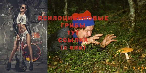 ALPHA PVP Белокуриха