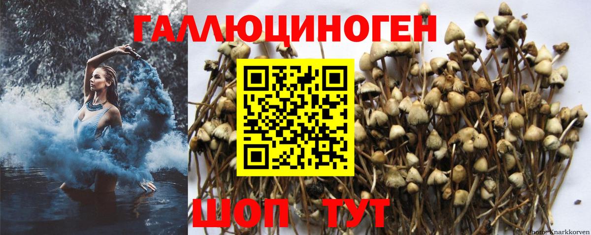 Галлюциногенные грибы мухоморы Бутурлиновка