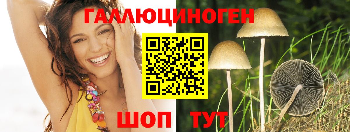 Псилоцибиновые грибы ЛСД  Вход с VPN  Бутурлиновка 