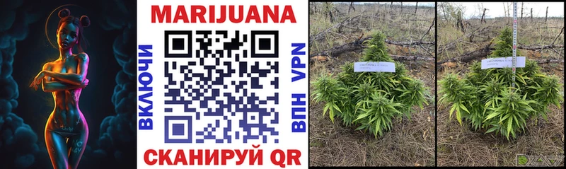 блэк спрут маркетплейс  где можно купить наркотик  Бутурлиновка  Канабис LSD WEED 
